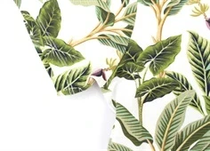 Name It t-shirt white alyssum print